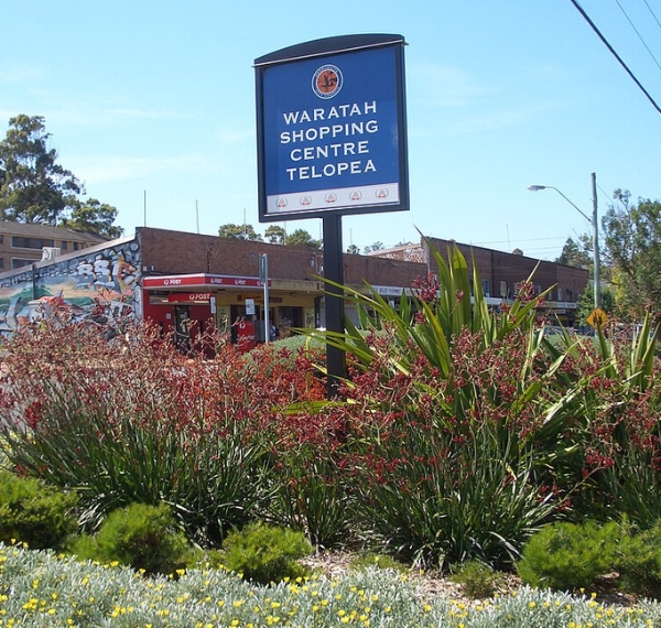 Telopea and Carlingford